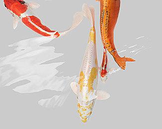 传闻：詹姆斯将作为偶像皮肤在《堡垒之夜》中登场